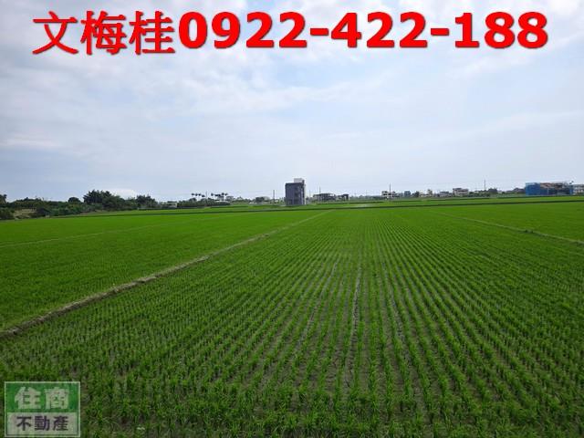 宜蘭礁溪農地-5