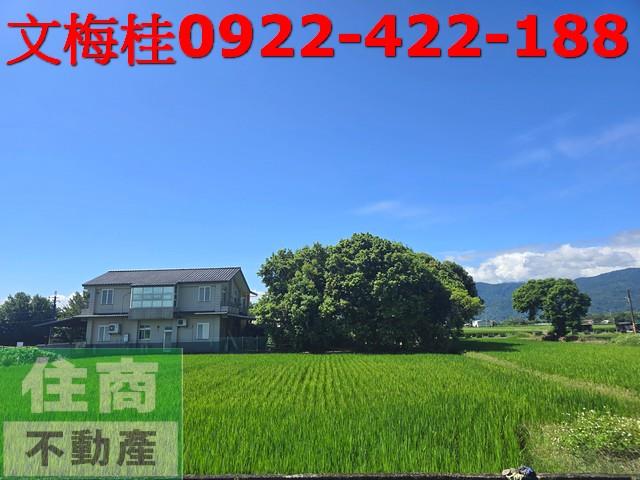 宜蘭三星農地-1