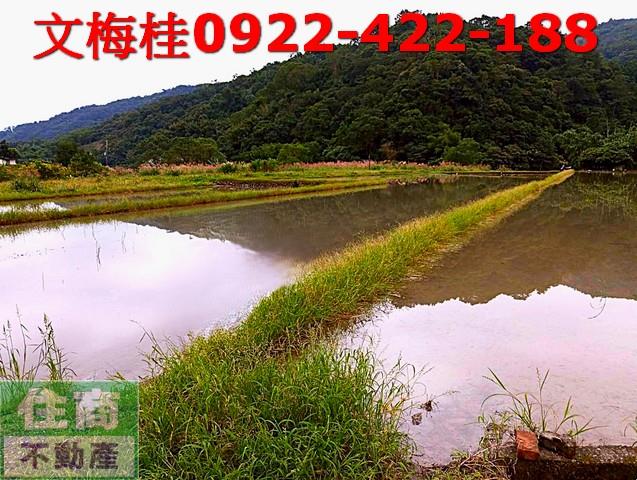 員山農地-3