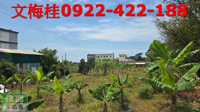 頭城農地-1