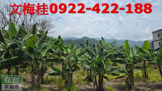 頭城農地-3