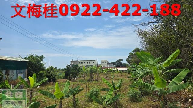 頭城農地-6
