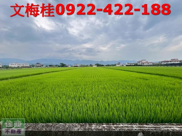 壯圍農地-4