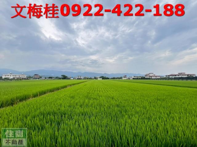 壯圍農地-3