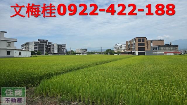 壯圍農地-4