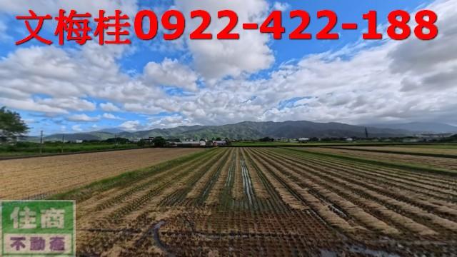 宜蘭農地-2