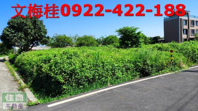 宜蘭農地-4