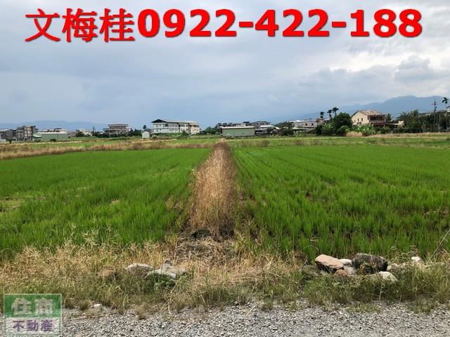 宜蘭農地-4