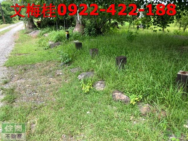 宜蘭農地-6