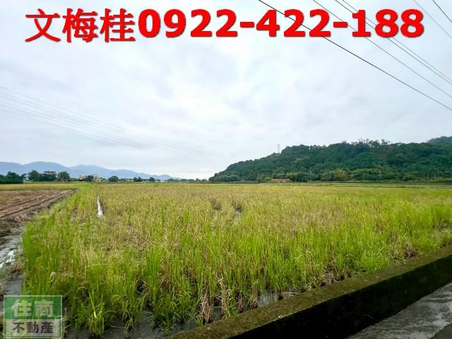 宜蘭三星農地-7