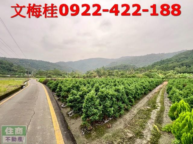 宜蘭三星農地-8