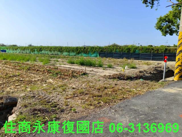 佳里農地-4