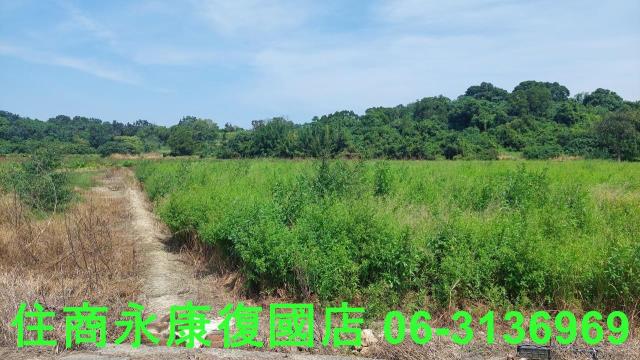 官田農地-4