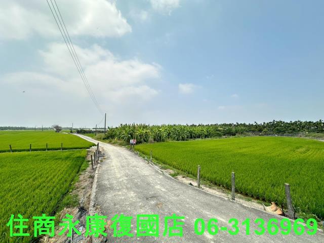 崁頂農地-14