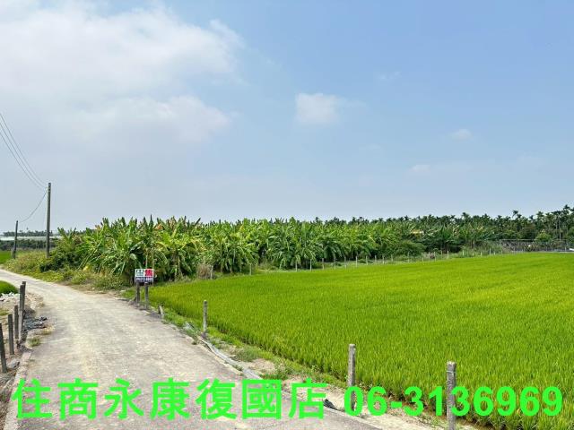 崁頂農地-7