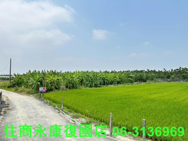 崁頂農地-8