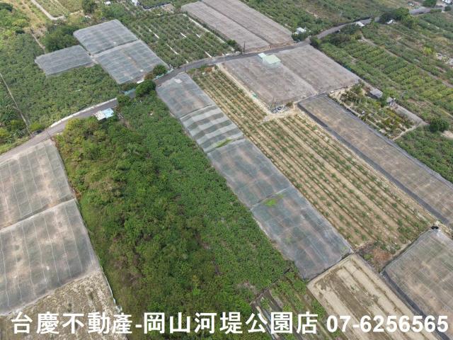 燕巢農地-6