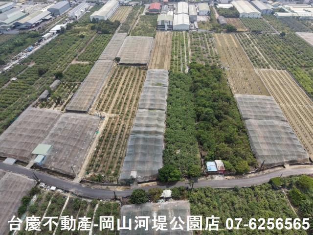 燕巢農地-14