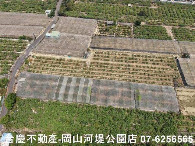 燕巢農地-13