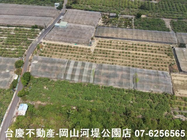 燕巢農地-10