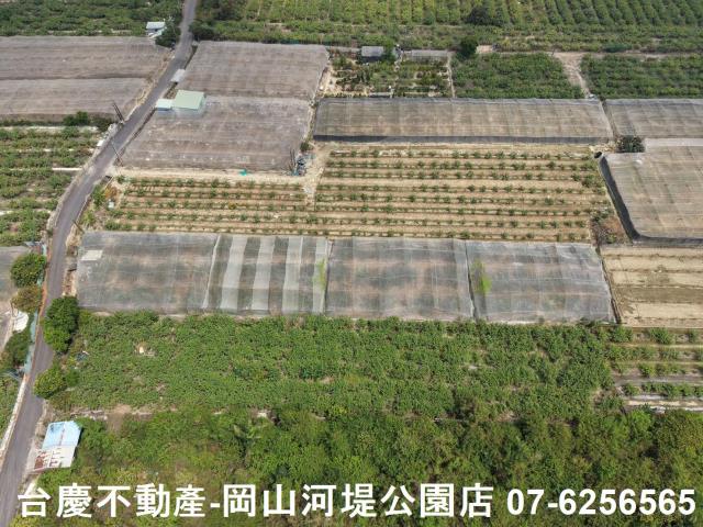 燕巢農地-9