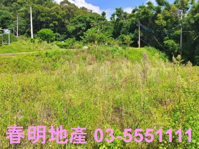 新竹農地-1