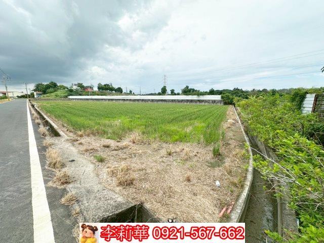 新化農地-6