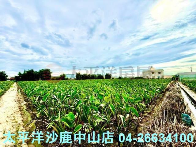 台中大甲農地-1