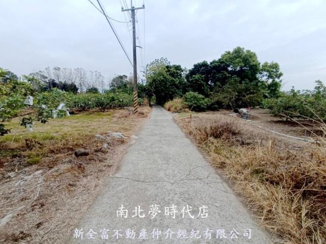 玉井農地-5