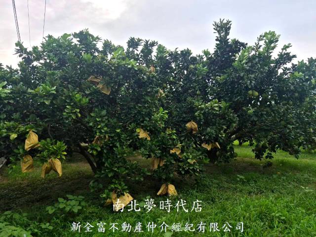 下營農地-3