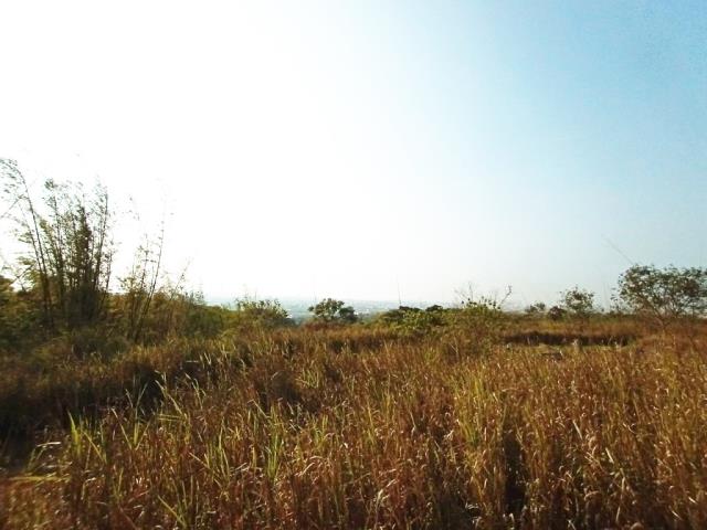 龍井保護區-6