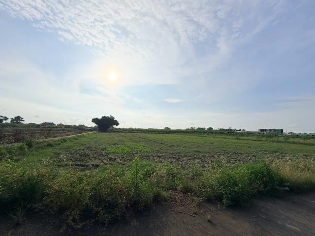 台南麻豆農地-1