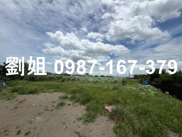 屏東市農地-2