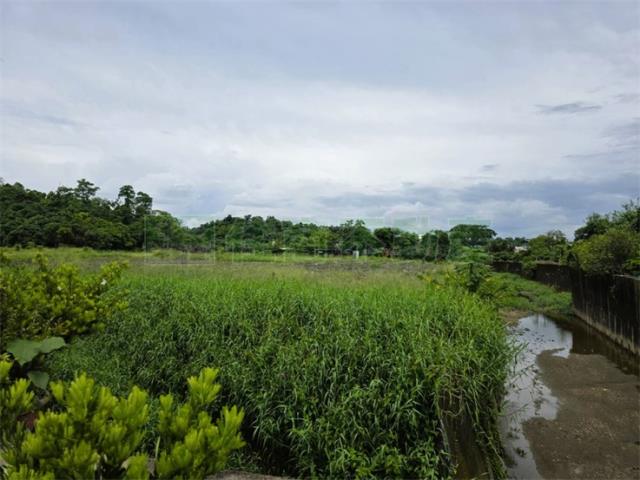 大樹農地-4