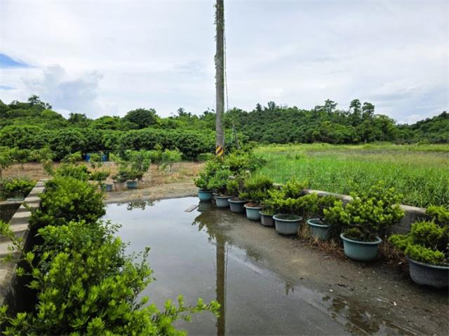 大樹農地-7