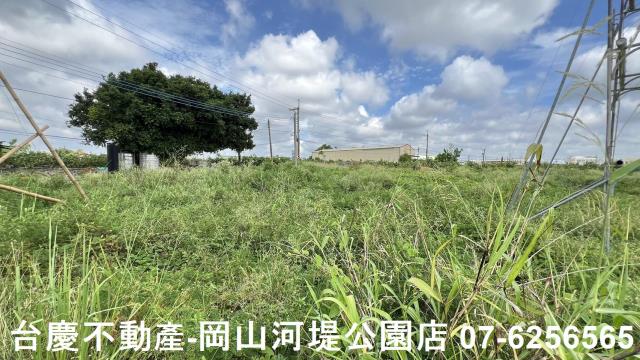 燕巢農地-2