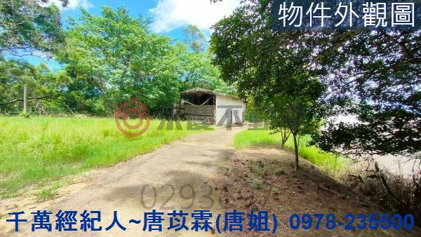 苗栗三灣農地-12