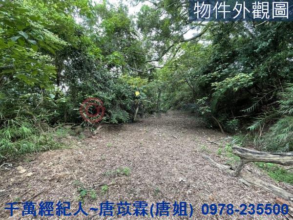 苗栗三灣農地-3