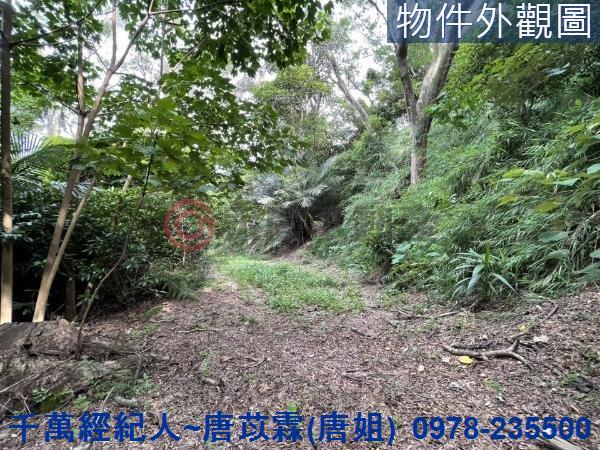 苗栗三灣農地-5