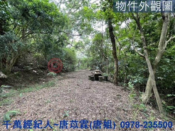 苗栗三灣農地-6