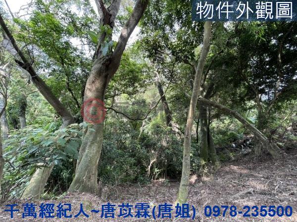 苗栗三灣農地-7