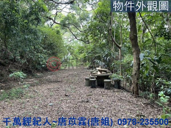 苗栗三灣農地-9