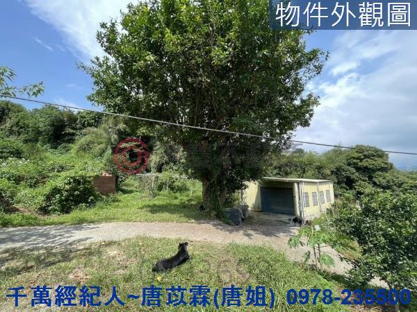 苗栗三灣農地-15