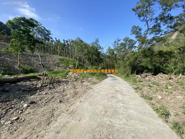 南投竹山農地-1