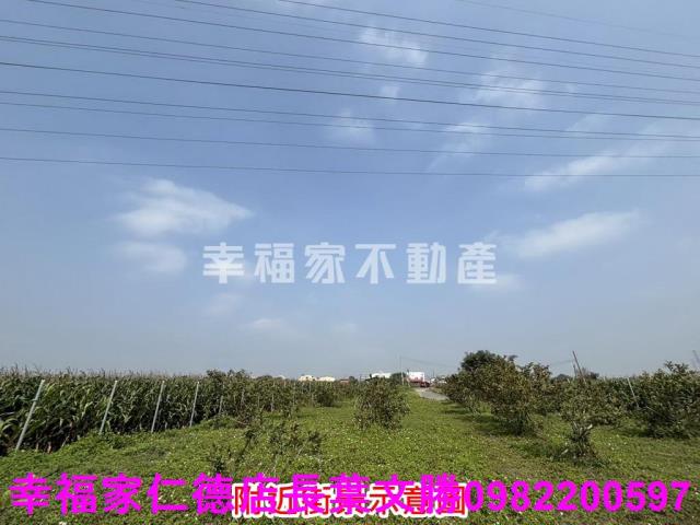 鹽水農地-11