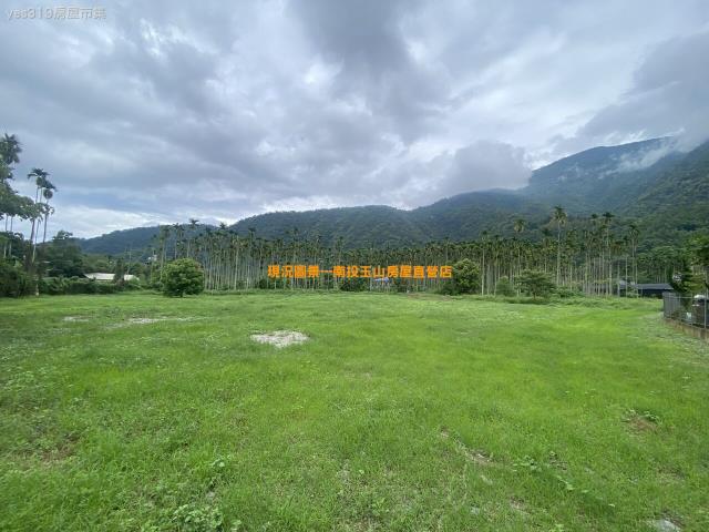 埔里農地-1