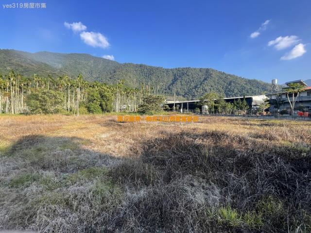 埔里農地-4