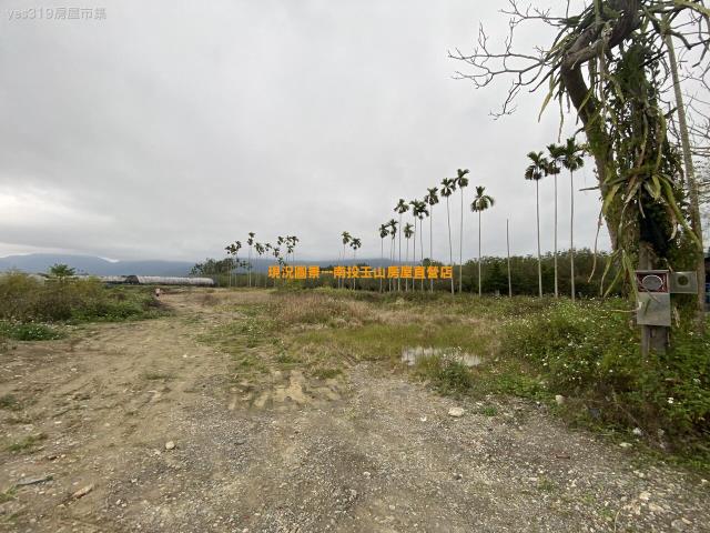 埔里農地-2