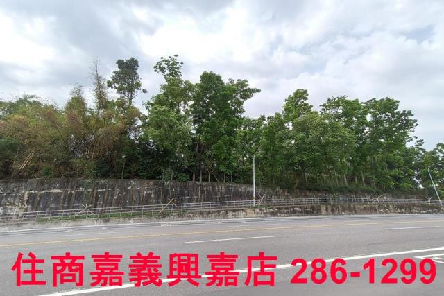 嘉義農地-12