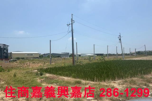 嘉義農地-9